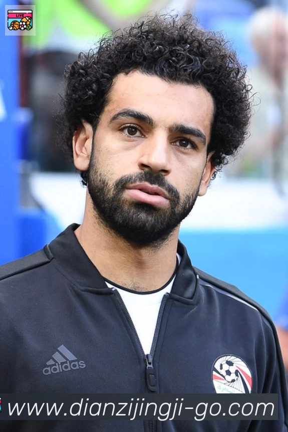 维尼修斯